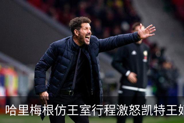 哈里梅根仿王室行程激怒凯特王妃，多年积怨爆发，坚持先问责