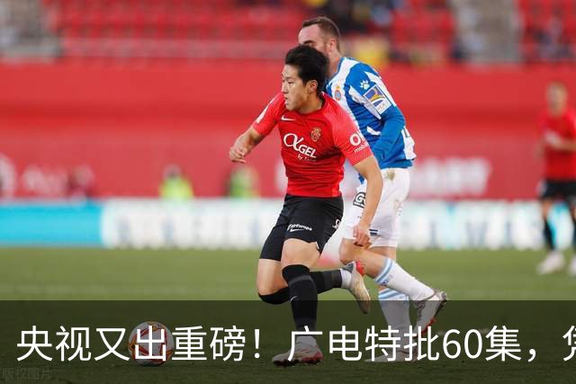央视又出重磅！广电特批60集，凭什么让观众提前一年开始等