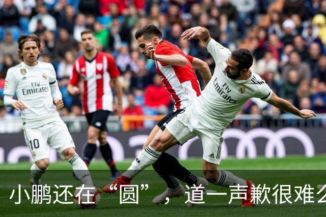小鹏还在“圆”，道一声歉很难么