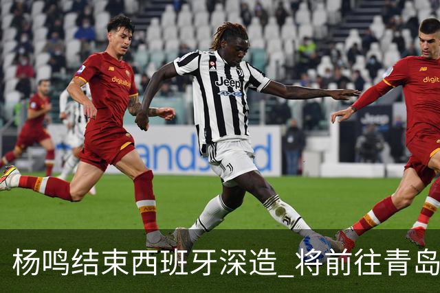 杨鸣结束西班牙深造 将前往青岛观摩男篮集训