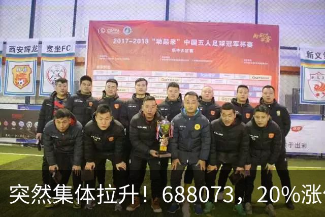 突然集体拉升！688073，20%涨停