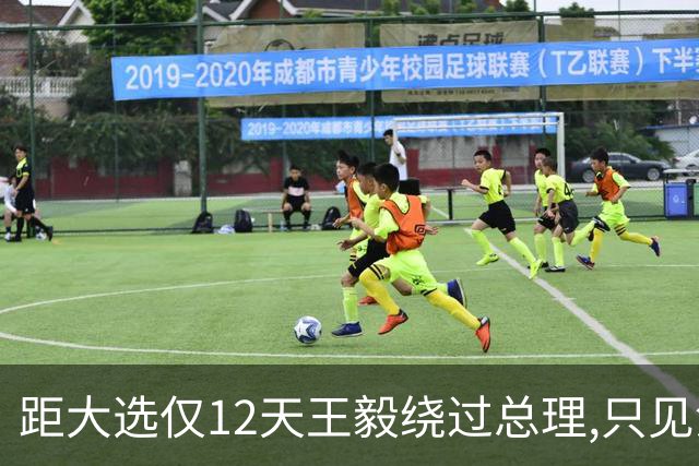 距大选仅12天王毅绕过总理,只见没实权的总统,这盘棋很深