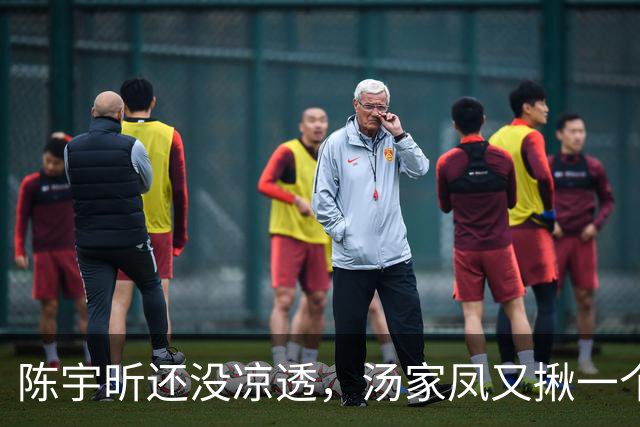 陈宇昕还没凉透，汤家凤又揪一个“精日”人员：竟然还是公司老板