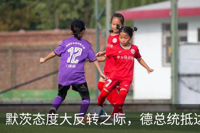 默茨态度大反转之际，德总统抵达安徽，只为向中国证明一件事