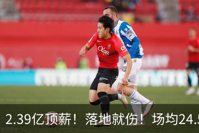 2.39亿顶薪！落地就伤！场均24.5分！魔术要放弃吗？