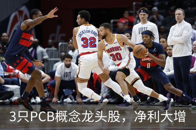 3只PCB概念龙头股，净利大增