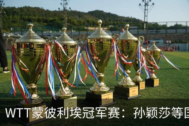 WTT蒙彼利埃冠军赛：孙颖莎等国乒选手晋级16强
